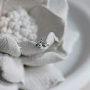 Diadem в белом золоте