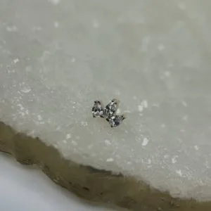 Топ Mini Lotus из розового золота
