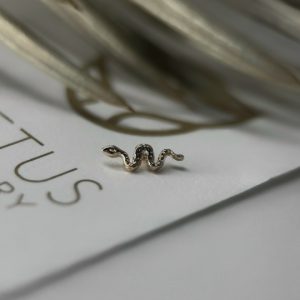 Топ Snake