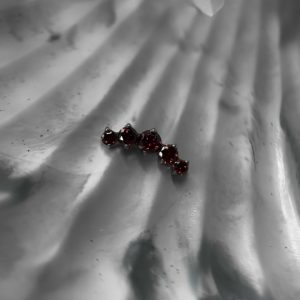 Приум с кристаллами Swarovski в красном оттенке