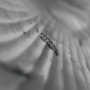 Приум с кристаллами Swarovski веерный кластер